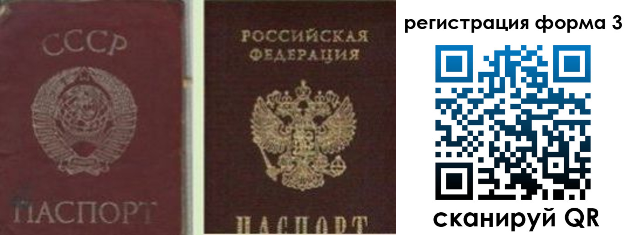 прописка для школы в Коряжме